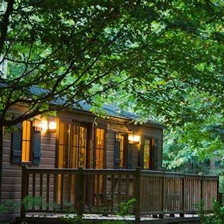 Image of a wooden cabin with a deck surrounded by trees