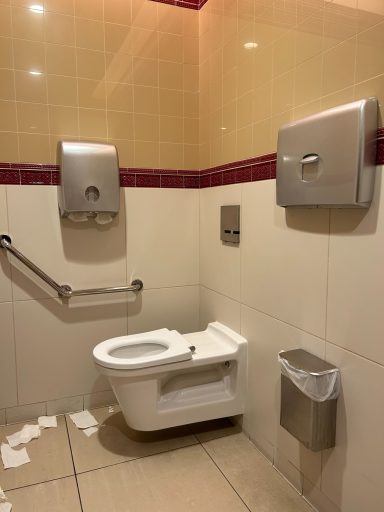 Image showing the interior of an accessible toilet cubicle