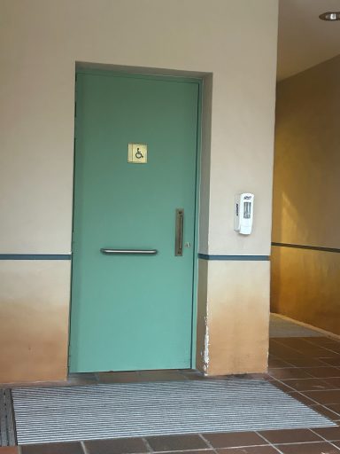 Image shows a green door with a wheelchair symbol