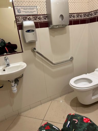 Toilet and sink with a grabrail and toilet paper dispenser