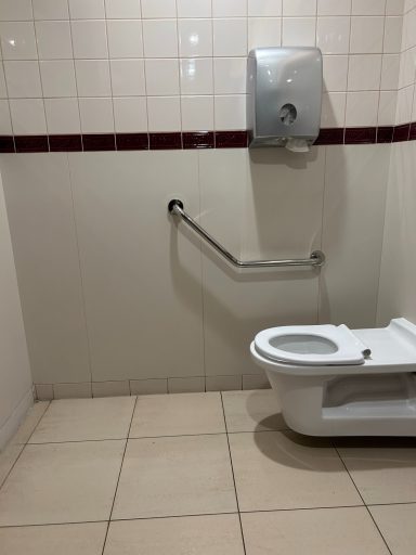 Image showing the interior of an accessible toilet cubicle