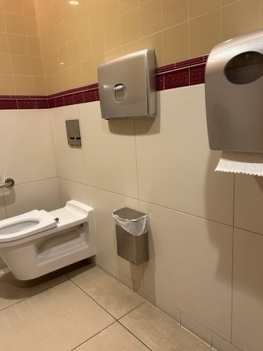 Image showing the interior of an accessible toilet cubicle