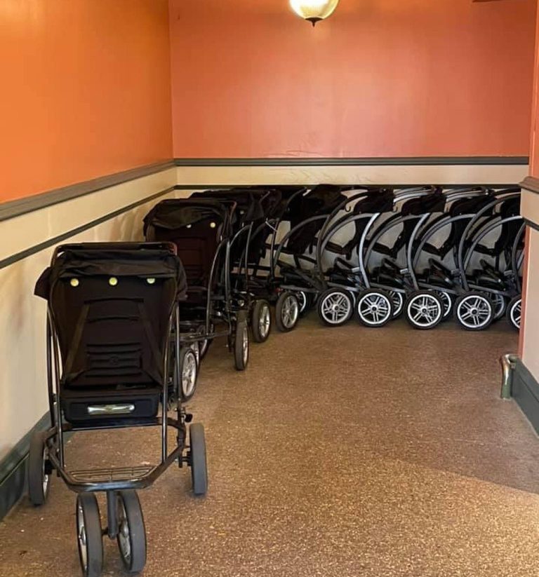 Disney special needs stroller rental online