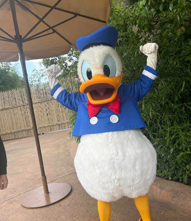 Image shows the Donald duck out in adventureland with bamboo behind him and holding his arms in the air