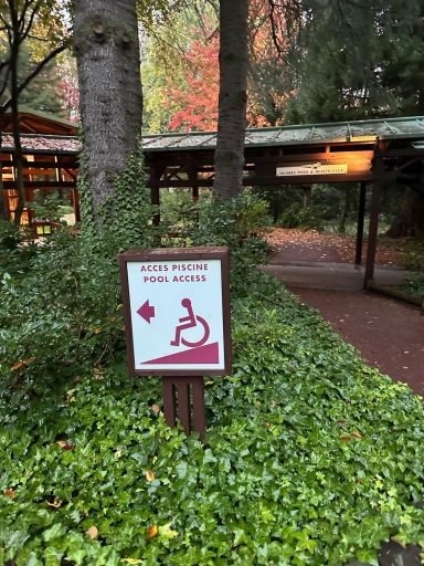 Woodland themed area with a sign showing a wheelchair symbol and an arrow