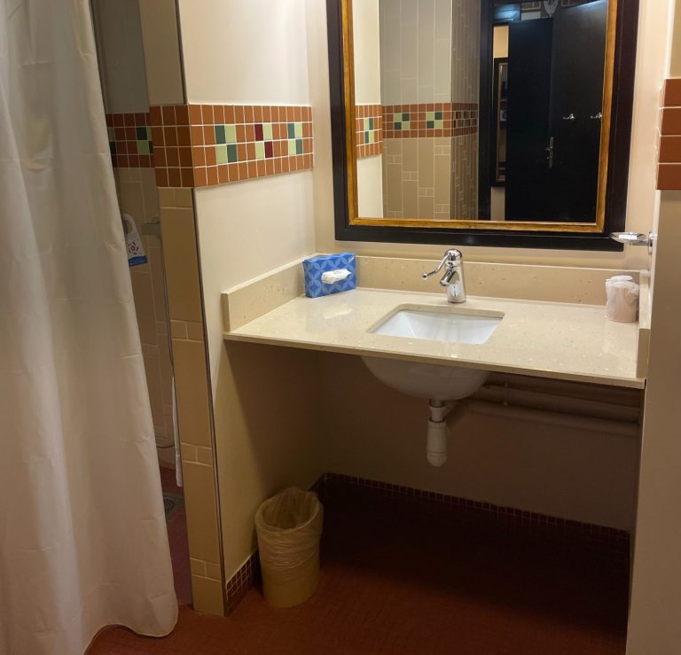 Image of the sink area in the accessible bathroom with a roll under sink in cream, a large dark wood framed mirror and tissues and a waste paper bin