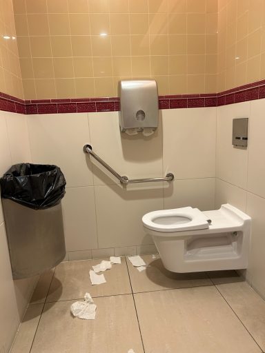 Image showing the interior of an accessible toilet cubicle