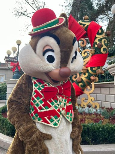 Dale wearing a green and red checked waistcoat with a red bow