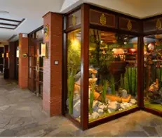 The display window for the shop, with glass, dark wood, an outdoor scene and flagstone flooring