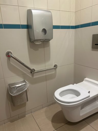 Image of a toilet with grab rail and toilet paper dispenser