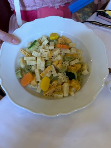 image of a bowl of tricolour pasta shapes