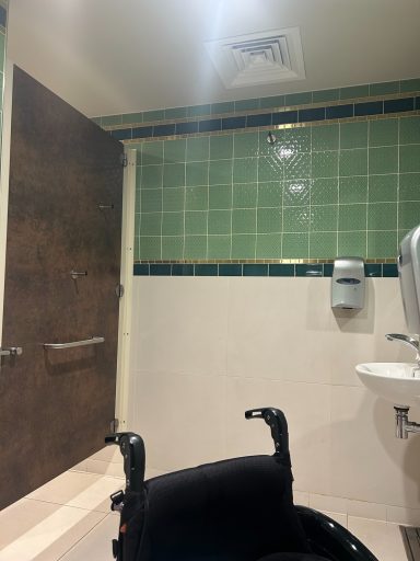 accessible toilet with a dark brown door, green tiles and a wheelchair back in the foreground