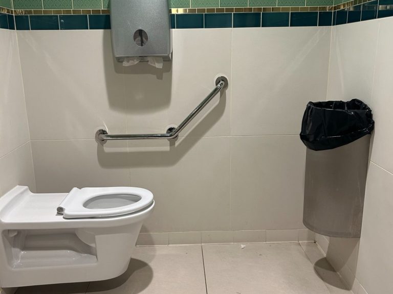 Image of the interior of a toilet showing a grab rail by the toilet, a bin and a toilet paper dispenser